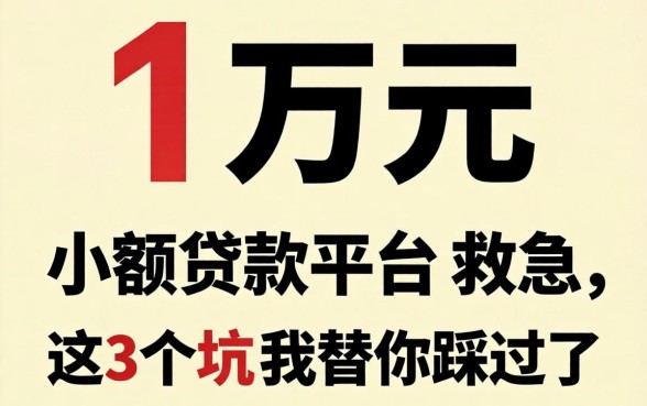 借1万元小额贷款平台救急，这3个坑我替你踩过了