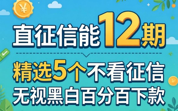 不查征信能分12期,精选5个不看征信无视黑白百分百下款