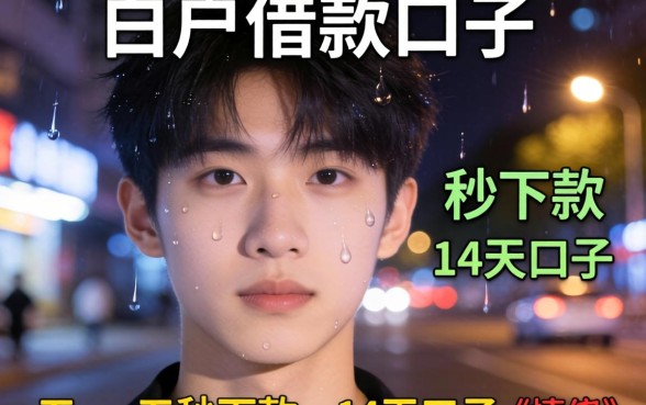 18岁白户借款口子，细致阐述五个夜间秒下款的14天口子