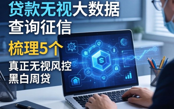 什么贷款无视大数据查询征信，梳理5个真正无视风控黑白的网贷