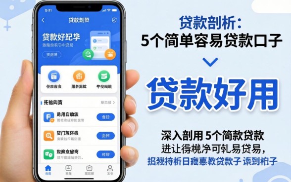 什么样的贷款软件好用，深入剖析5个简单容易贷款口子