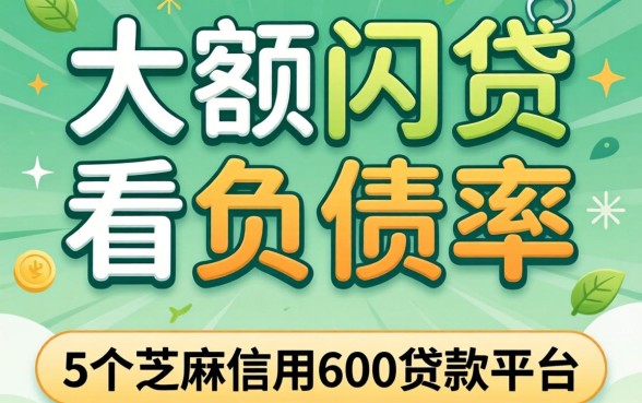 哪些大额网贷不看负债率，遴选5个芝麻信用600贷款平台