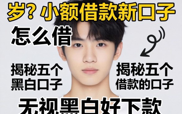 18岁小额借款新口子怎么借，揭秘五个无视黑白好下款的口子