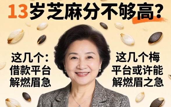 53岁芝麻分不够高？这几个借款平台或许能解燃眉之急