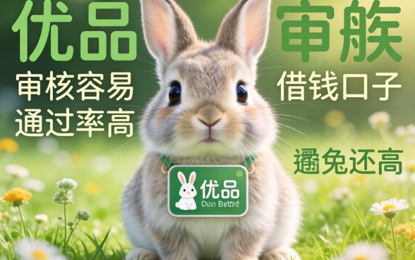 发现几个像小兔优品的借钱口子，审核容易通过率还高