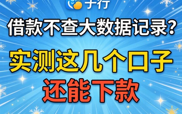 什么平台借款不查大数据记录？实测这几个口子还能下款
