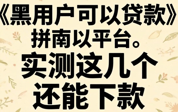 2026年双黑用户可以贷款的平台：实测这几个还能下款