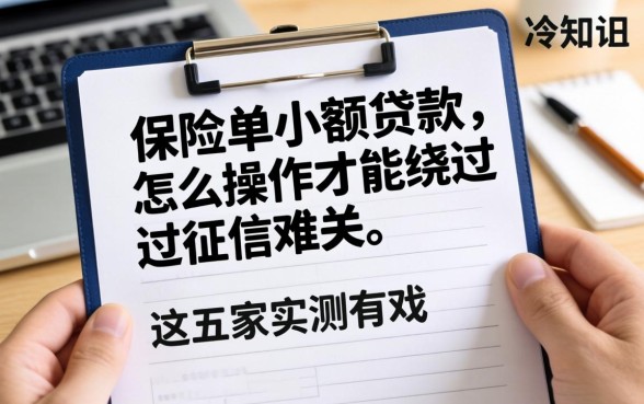 分享个冷知识：保险单小额贷款怎么操作才能绕过征信难关？这五家实测有戏