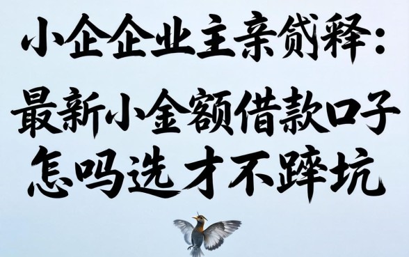 2026年小企业主亲述:最新小额借款口子怎么选才不踩坑