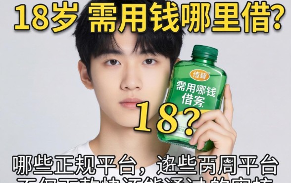 刚满18岁急需用钱哪里借？哪些正规平台不仅下款快还能通过审核？