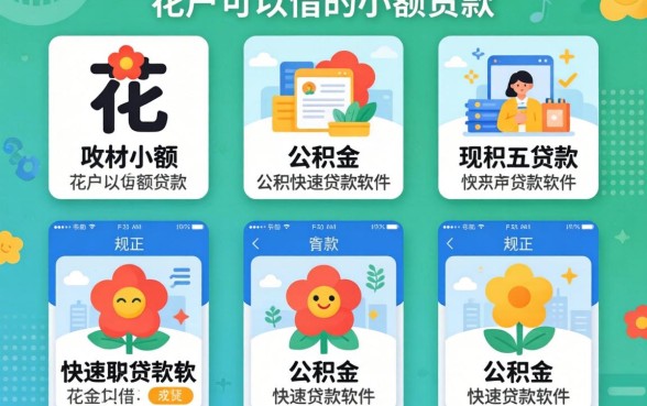 大花户可以借的小额贷款有哪些，规整五个公积金快速贷款软件