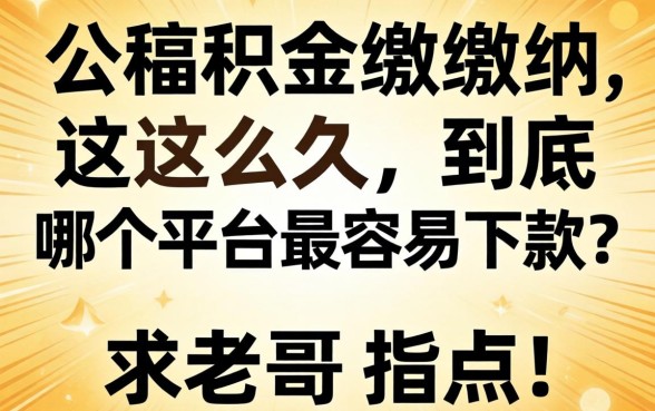 公积金缴纳这么久，到底哪个平台最容易下款？求老哥指点！