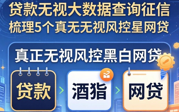 什么贷款无视大数据查询征信，梳理5个真正无视风控黑白的网贷