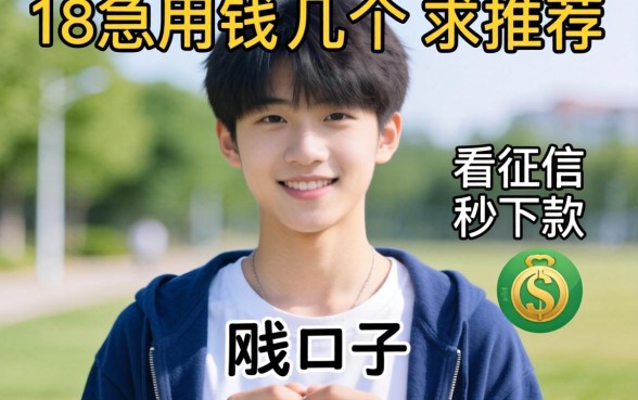 刚满18岁急用钱，求推荐几个不看征信秒下款的口子？