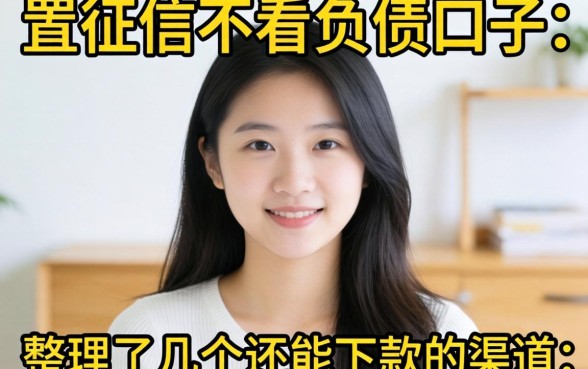 不查征信不看负债的口子：整理了几个还能下款的渠道