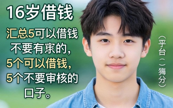 什么平台可以16岁借钱的,汇总5个可以借钱不用审核的口子