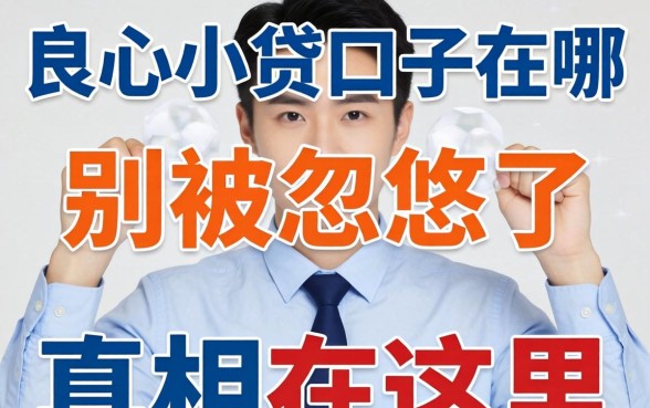 2026年良心小贷口子在哪？别被忽悠了，真相在这里