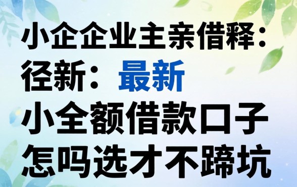 2026年小企业主亲述:最新小额借款口子怎么选才不踩坑