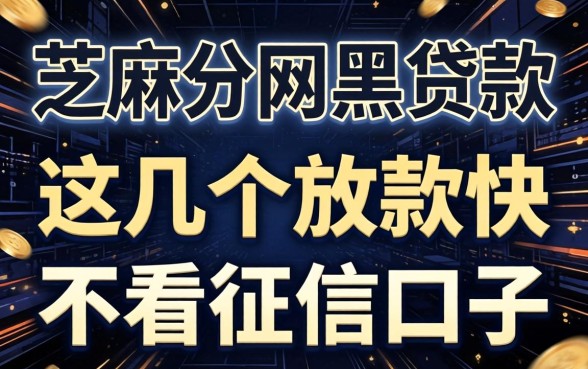 不要芝麻分网黑贷款，这几个放款快不看征信的口子