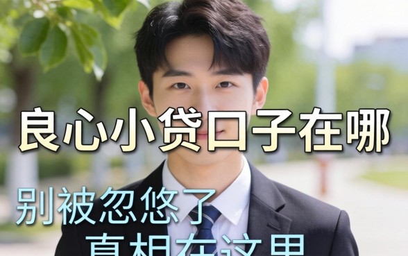 2026年良心小贷口子在哪？别被忽悠了，真相在这里