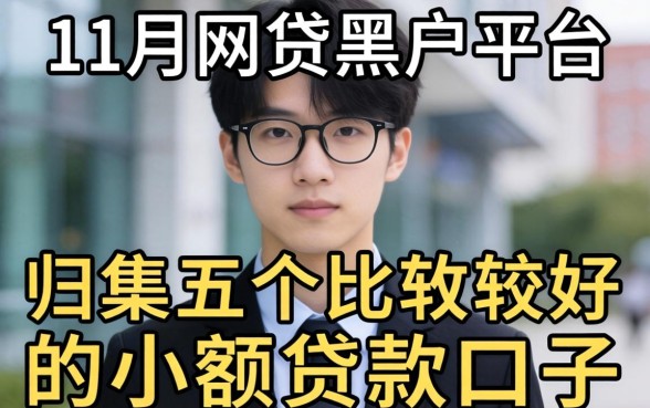 19年11月网贷黑户平台，归集五个比较好的小额贷款口子