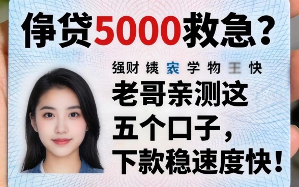 只有身份证想贷5000救急？老哥亲测这五个口子，下款稳速度快！