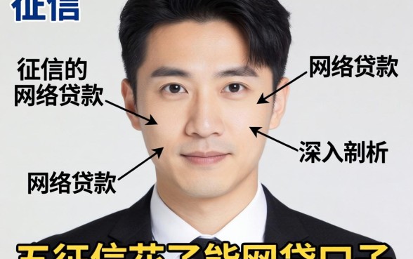 不看征信的网络贷款有哪些，深入剖析五个征信花了能网贷的口子