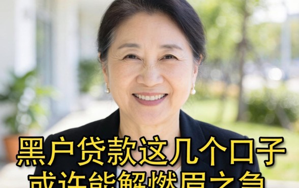 46岁以上黑户贷款：这几个口子或许能解燃眉之急