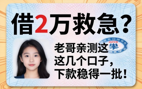 只有身份证想借2万救急?老哥亲测这几个口子,下款稳得一批!