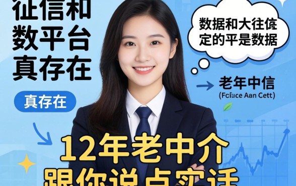 不查上征信和大数据的平台真存在?12年老中介跟你说点实话