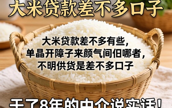 和大米贷款差不多的口子有哪些？干了8年的中介说实话