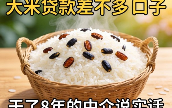 和大米贷款差不多的口子有哪些？干了8年的中介说实话