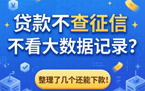 什么贷款不查征信不看大数据记录？整理了几个还能下款的口子