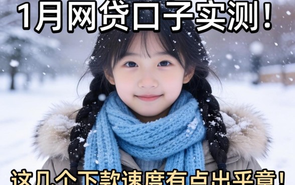 2026 2月网贷口子实测：这几个下款速度有点出乎意料