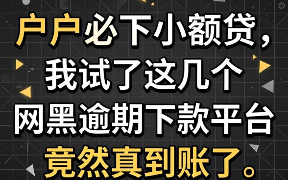 2026年黑户必下小额贷，我试了这几个网黑逾期下款平台竟然真到账了