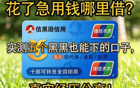 信用花了急用钱哪里借？实测五个黑户也能下的口子，真实经历分享！