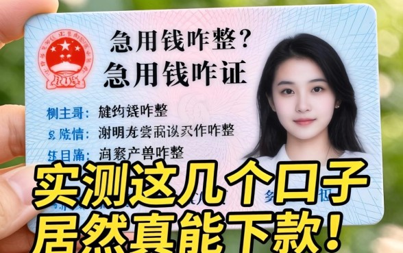只有临时身份证急用钱咋整?实测这几个口子居然真能下款!