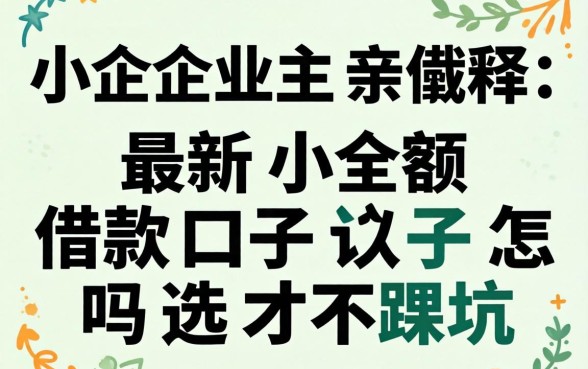 2026年小企业主亲述:最新小额借款口子怎么选才不踩坑