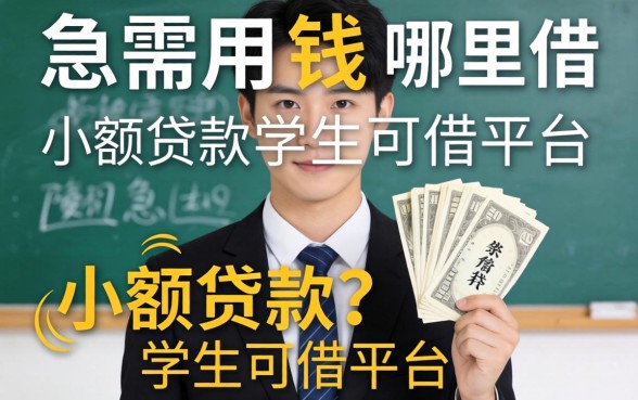 大学生急需用钱哪里借？小额贷款学生可借的平台有哪些安全靠谱？
