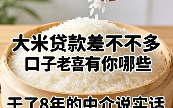 和大米贷款差不多的口子有哪些？干了8年的中介说实话