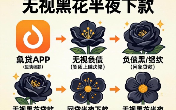 哪里能不看负债贷款，细致阐述5个无视黑花半夜下款的网贷app