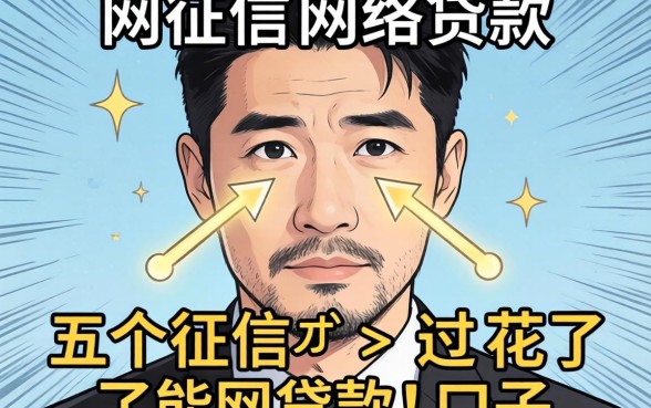 不看征信的网络贷款有哪些，深入剖析五个征信花了能网贷的口子