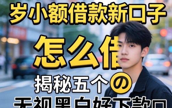 18岁小额借款新口子怎么借，揭秘五个无视黑白好下款的口子