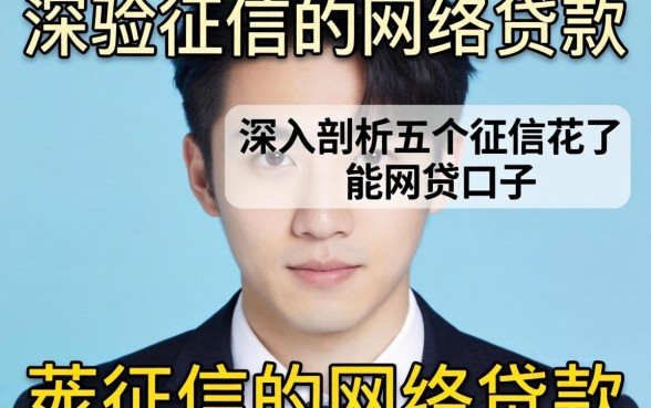 不看征信的网络贷款有哪些，深入剖析五个征信花了能网贷的口子