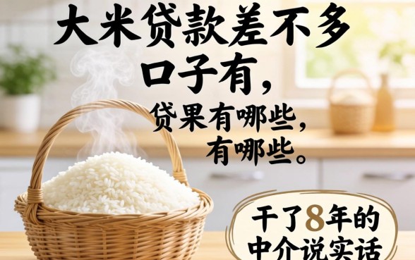 和大米贷款差不多的口子有哪些？干了8年的中介说实话