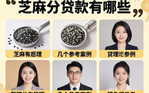 主要看芝麻分的贷款有哪些？整理了几个参考案例