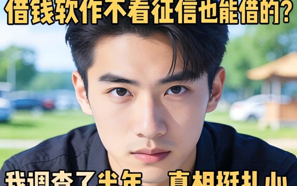 什么借钱软件不看征信也能借的？我调查了半年，真相挺扎心