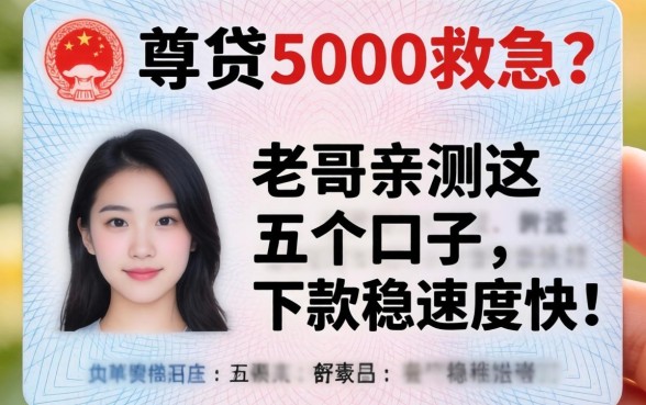 只有身份证想贷5000救急？老哥亲测这五个口子，下款稳速度快！