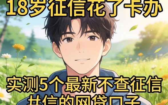 刚满18岁征信花了咋办？实测5个最新不查征信的网贷口子