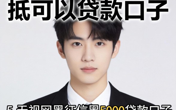 22岁2抵可以贷款的口子，枚举5个无视网黑征信黑5000贷款口子